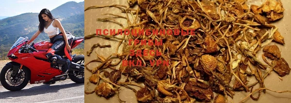 бошки Михайлов
