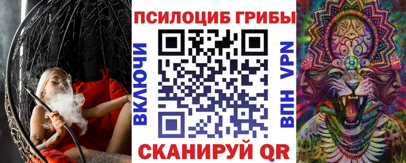 где можно купить   KRAKEN маркетплейс  Псилоцибиновые грибы GOLDEN TEACHER  Усть-Лабинск 